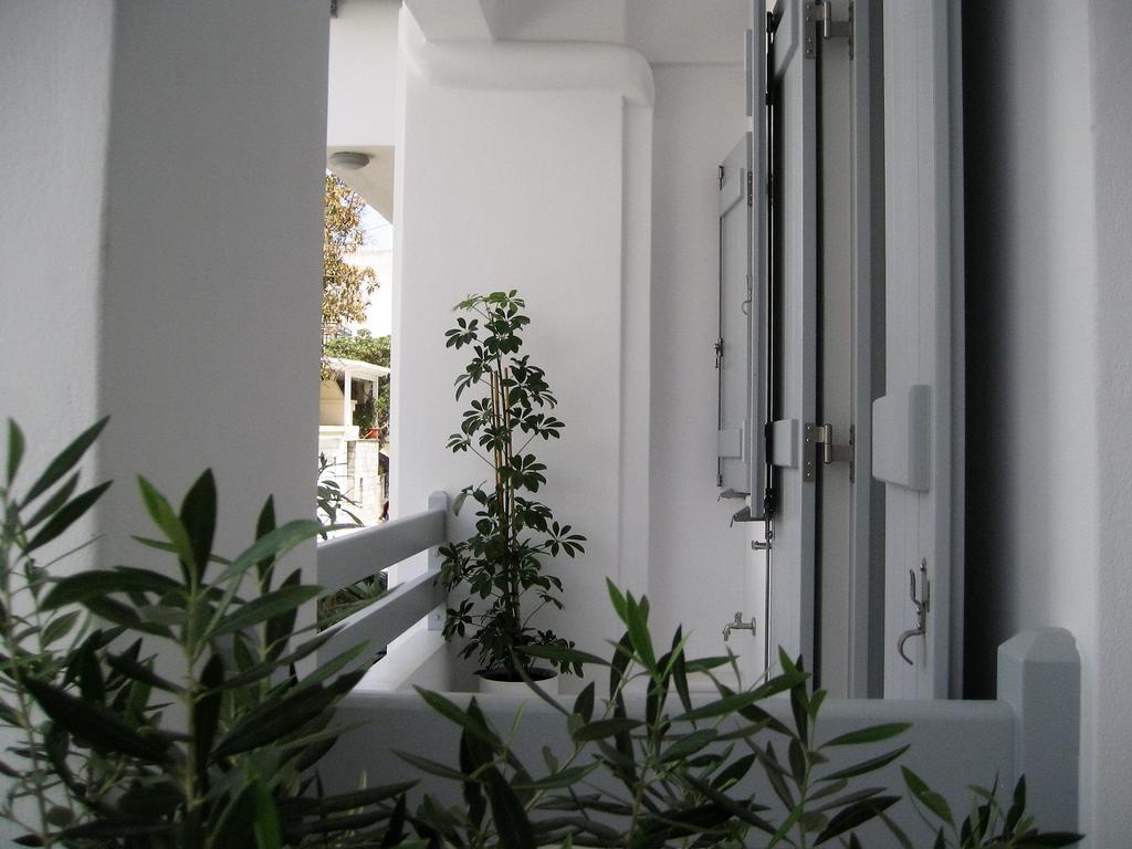 Two-Bedroom Apartment,366875461:JPEG