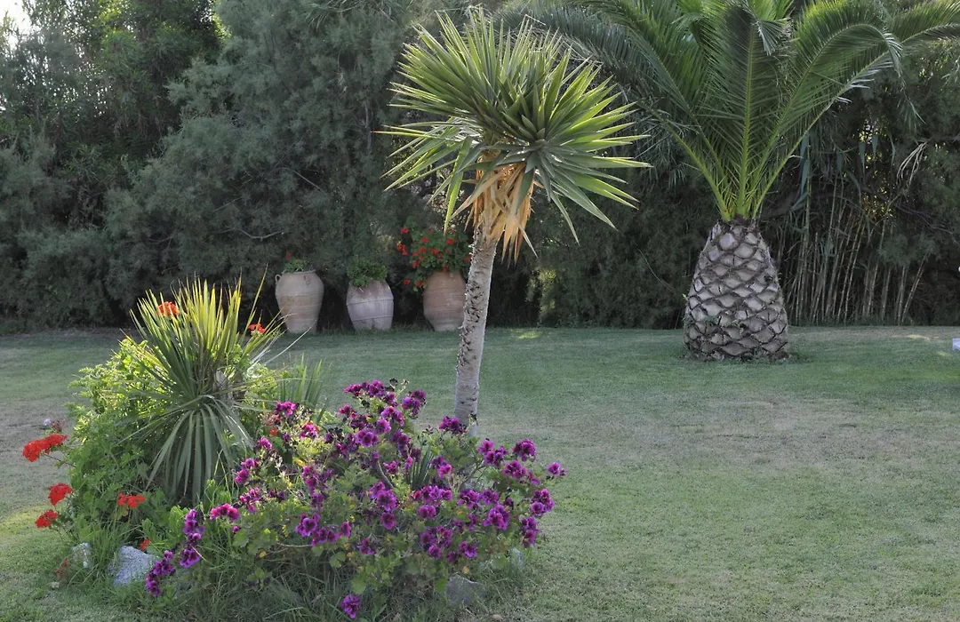 Ammos Naxos Exclusive Apartments & Studios-1