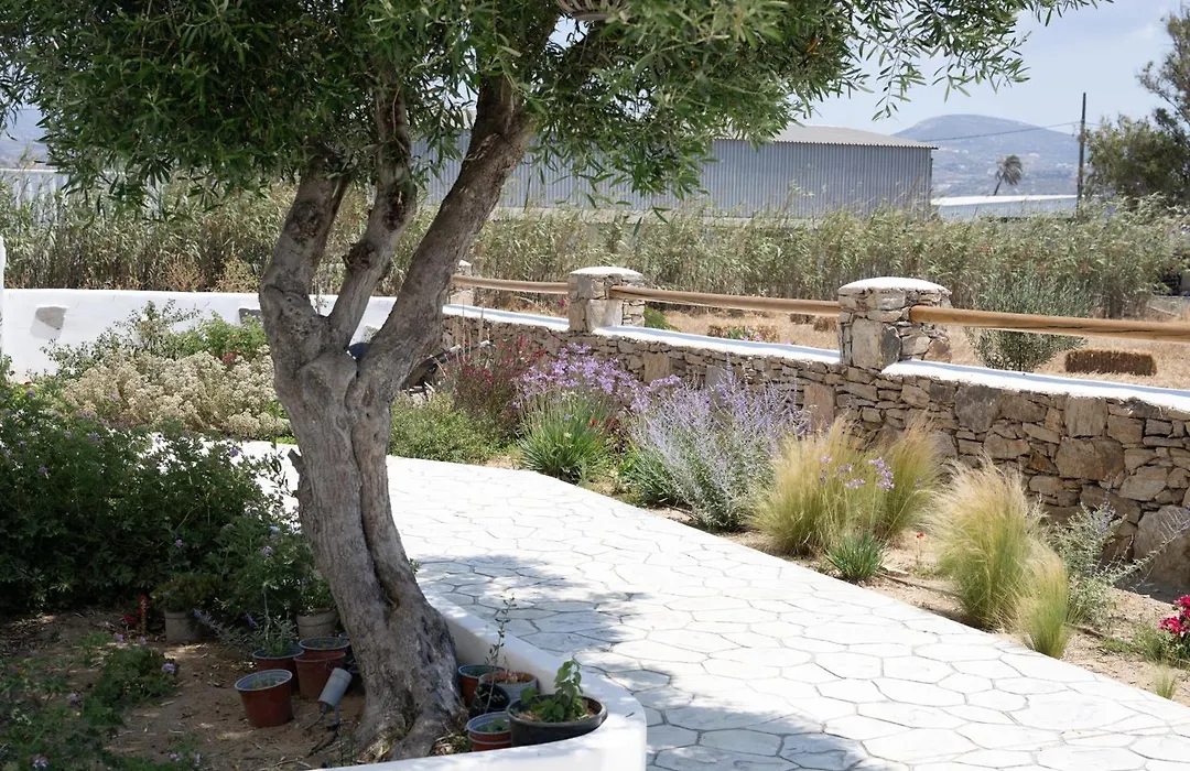 Oliva Naxos Apartments-1