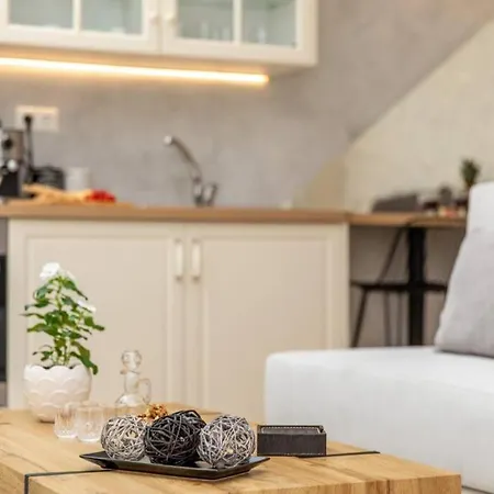 Arktos Luxury Apartment-2