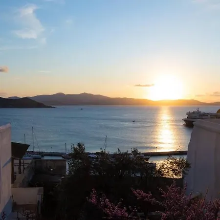 Petrino Naxos-2
