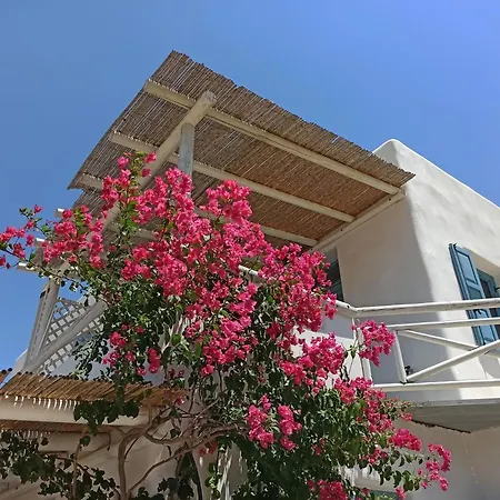 Kykladonisia Amorgos-3