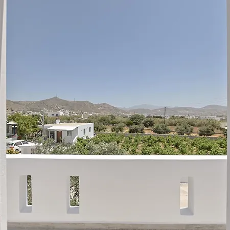 Elaion Villa Naxos Town-2