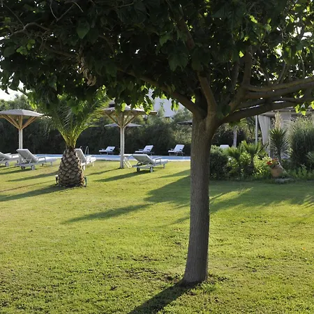 Ammos Naxos Exclusive Apartments & Studios-2