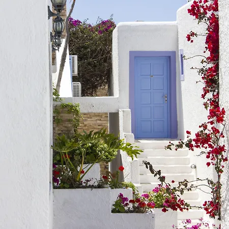 Naxos Holidays-2