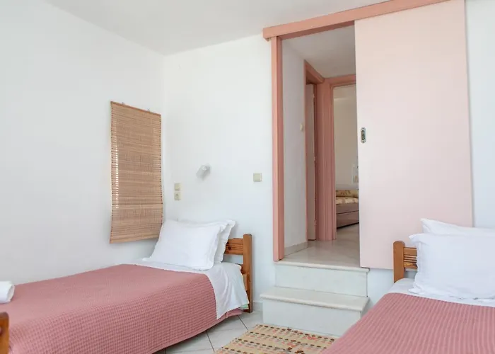 Pet friendly Studios Naxos Naxos City