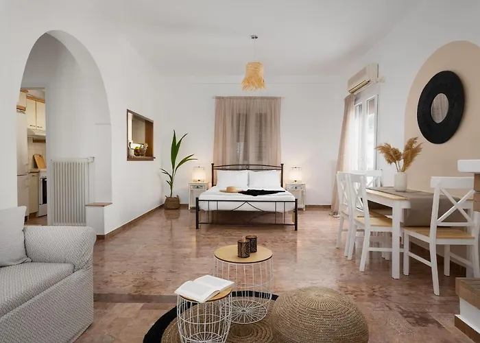 Nexus Downtown Studio Naxos City che accetta animali
