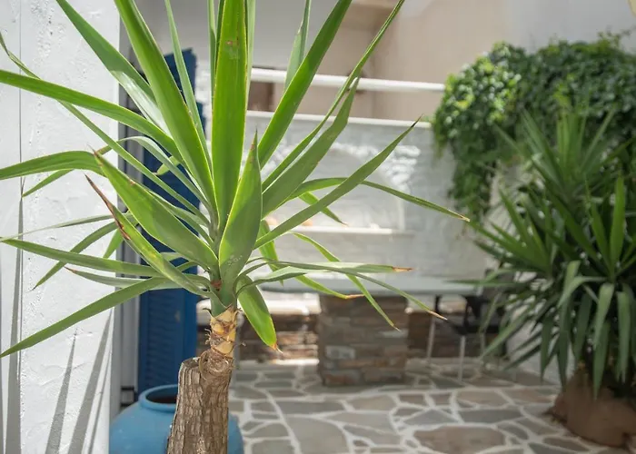 Studios Alsos Naxos City