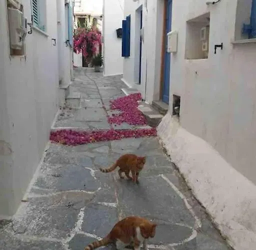 Granny'S House Appartamento Naxos City che accetta animali