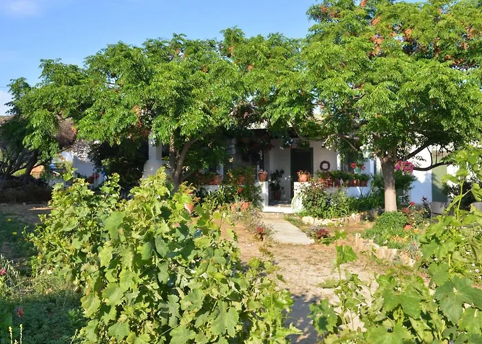 Ktima Dimitrios Villa Naxos City