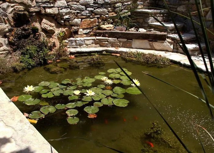 Pet friendly Giannakis' Filoxenia Villa Filotion