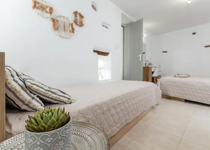 Pet friendly Lithorama Apartment Naxos City
