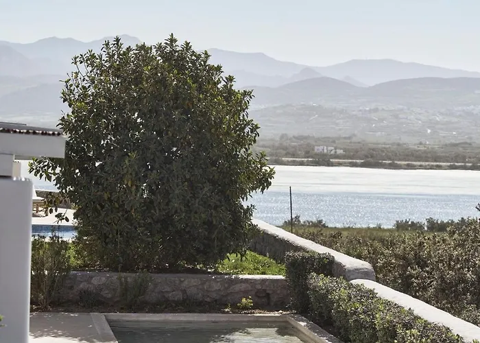 Luxury Naxos Villas Grande Suite Air Conditioning Outdoor Pool Stelida 
