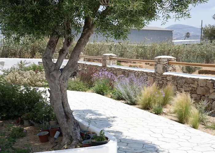 Oliva Naxos Apartments Naxos City