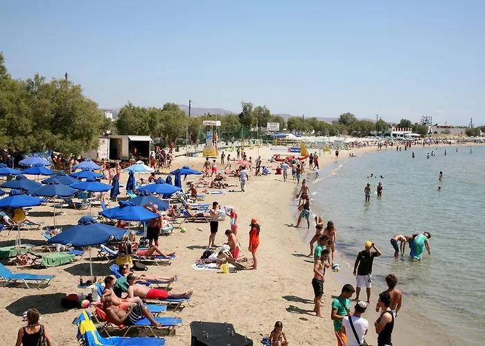 Aelia Apartments Naxos City